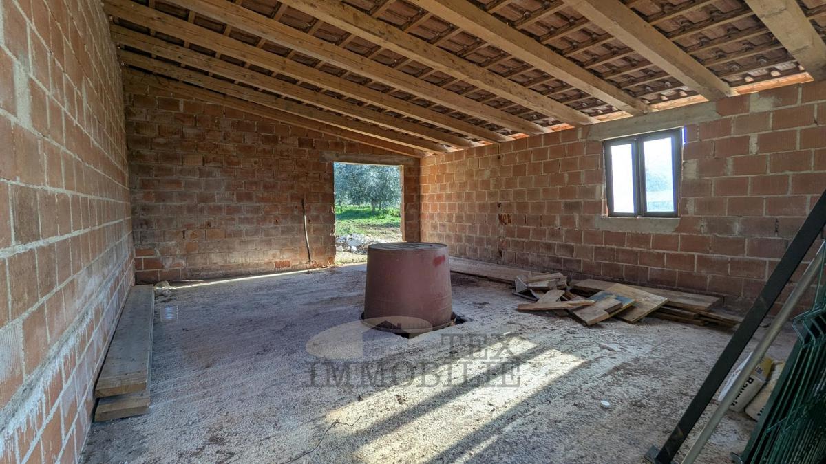 Terreni agricoli Poreč, 7.000m2