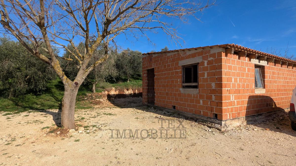 Terreni agricoli Poreč, 7.000m2