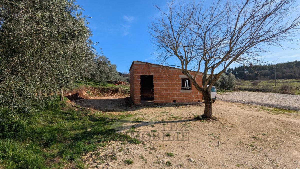 Terreni agricoli Poreč, 7.000m2