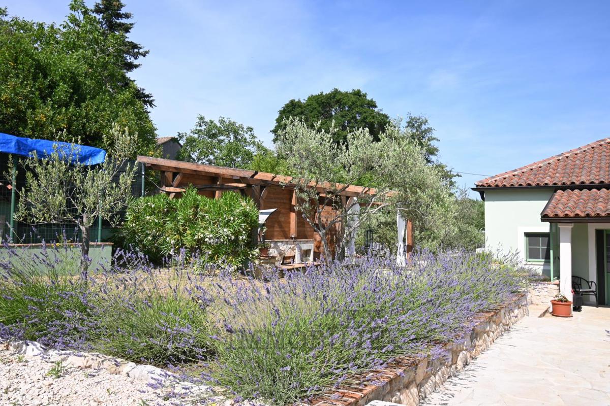 Casa in Pietra Istriana Ristrutturata con Piscina e Grande Giardino