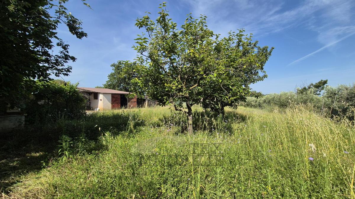 Terreno edificabile con garage legalizzato – posizione tranquilla vicino a Parenzo