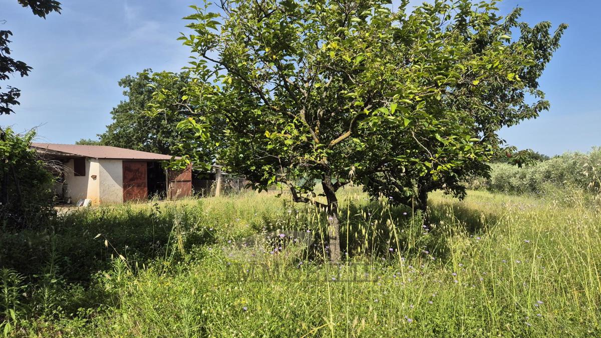 Terreno edificabile con garage legalizzato – posizione tranquilla vicino a Parenzo