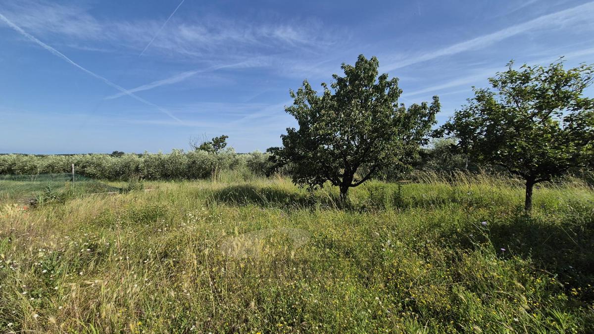 Terreno edificabile con garage legalizzato – posizione tranquilla vicino a Parenzo