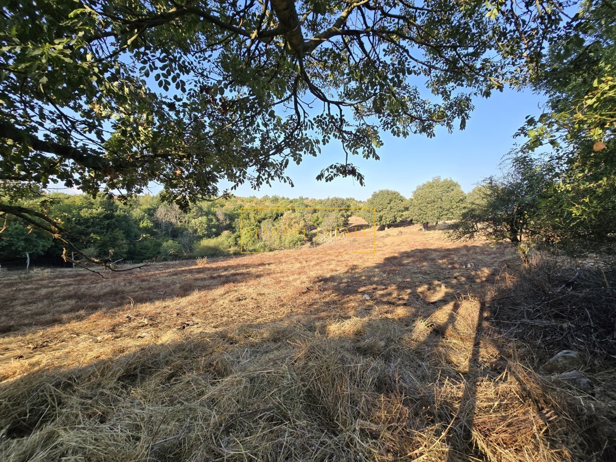 TERRENO EDIFICABILE IN POSIZIONE TRANQUILLA E PIACEVOLE, VICINO A VIŠNJAN!