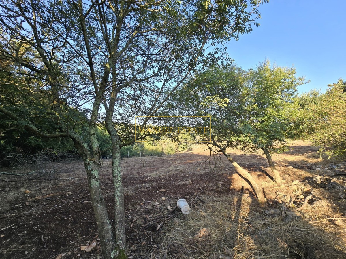 TERRENO EDIFICABILE IN POSIZIONE TRANQUILLA E PIACEVOLE, VICINO A VIŠNJAN!