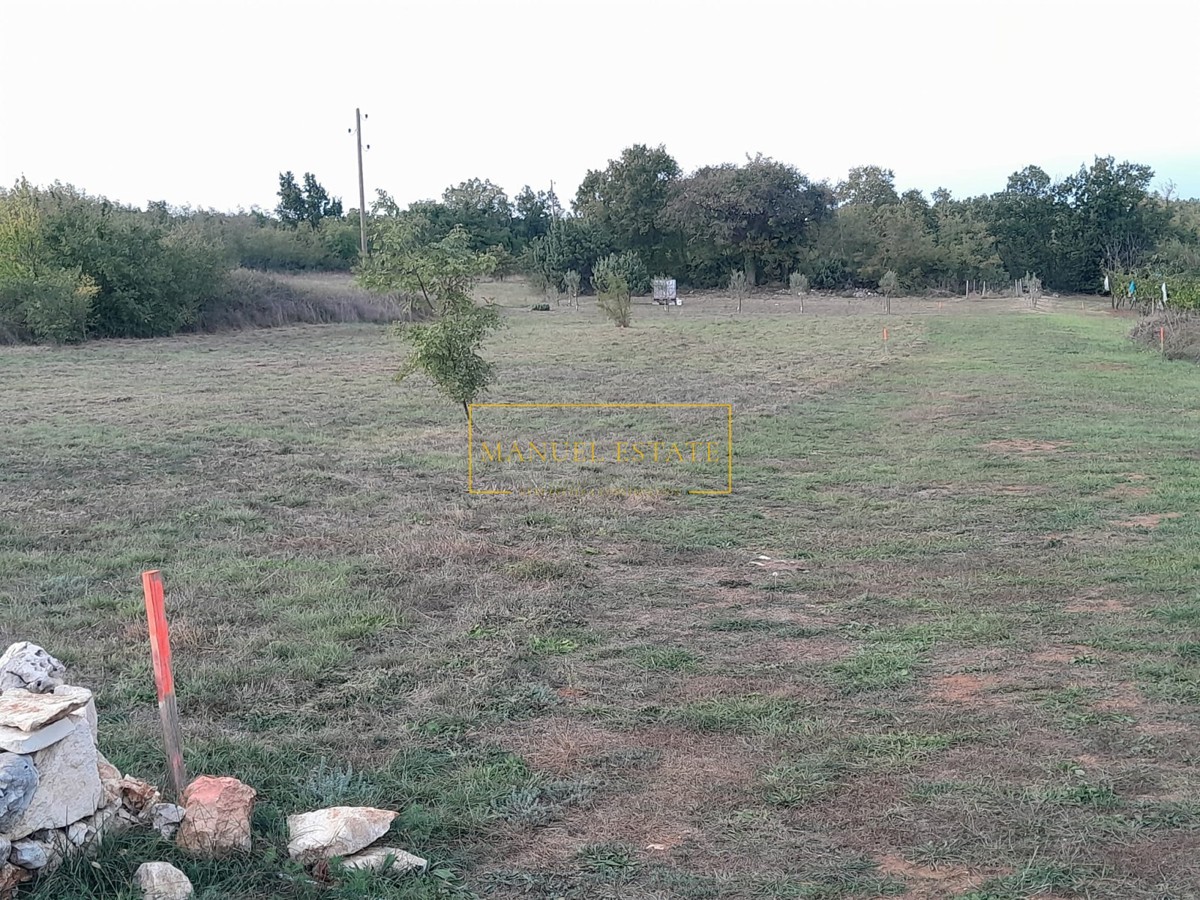 TERRENO EDIFICABILE ATTRATTIVO CON PROGETTO E LICENZA PER LA COSTRUZIONE DI UNA CASA CON PISCINA E VISTA SULLE ISOLE E MARČANA, ISTRIA!