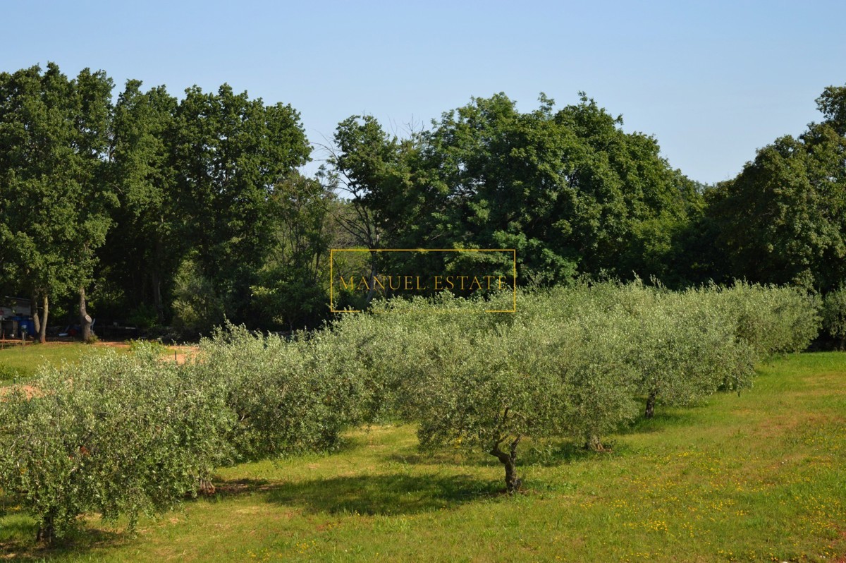 Villa d'avanguardia con vista mare, Cittanova