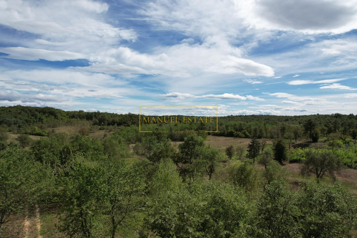 TERRENO EDIFICABILE NEI DINTORNI DI POREČ, ISTRIA – ZONA TRANQUILLA!