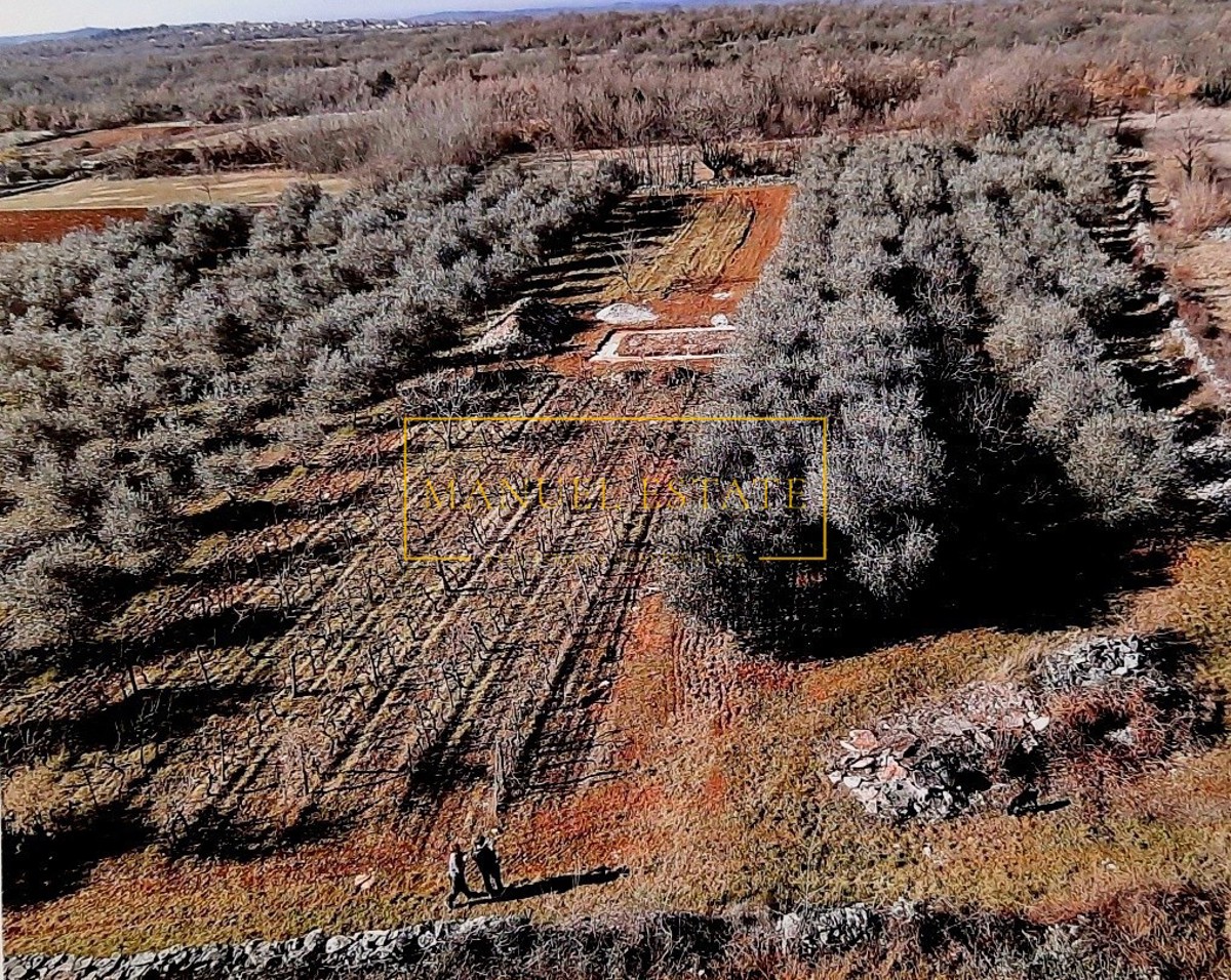 Terreno agricolo di 10 000 m2, Tinjan