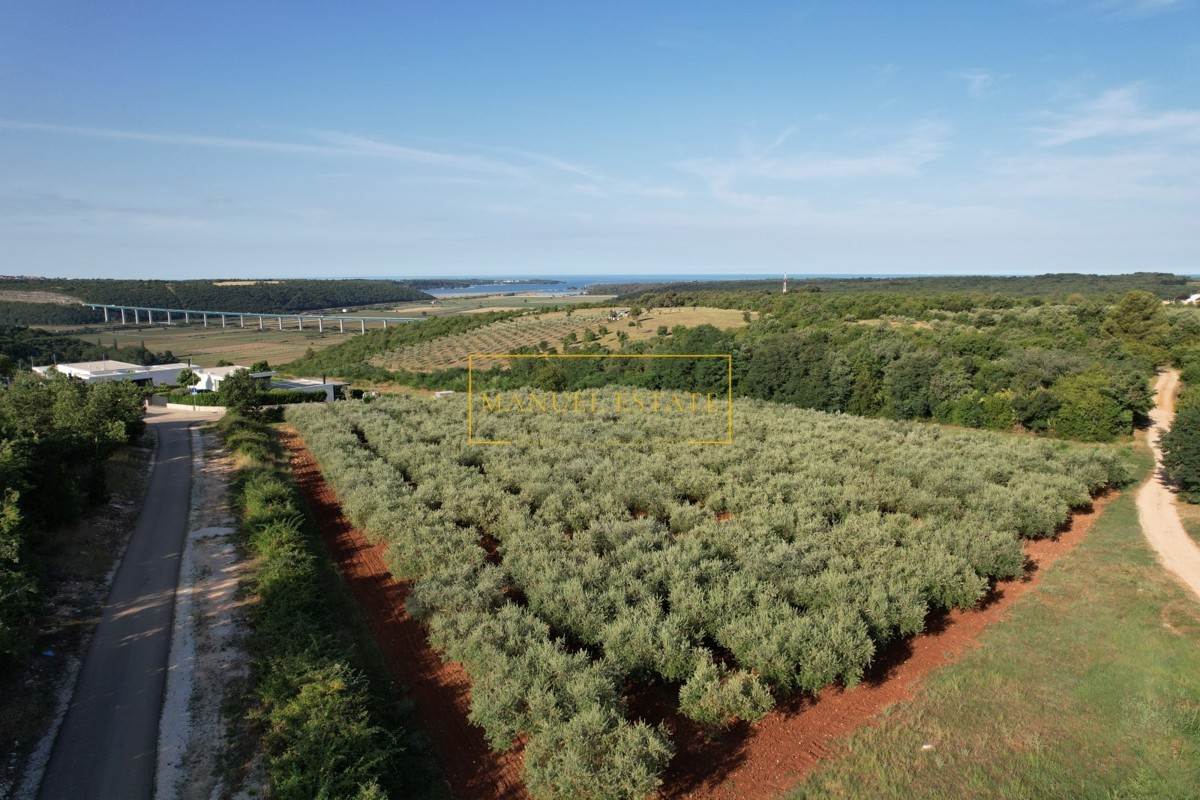 VILLA MODERNA LUSSUOSA (417M2) CON VISTA PANORAMICA E PISCINA VICINO A BRTONIGLA, ISTRIA!