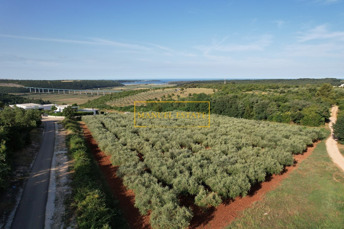 ESCLUSIVA VILLA MODERNA DI 317 M² SU UN TERRENO DI 1000 M² CON VISTA SUL FIUME MIRNA, SUL MARE E SULL'AMBIENTE CIRCOSTANTE - BRTONIGLA, ISTRIA!