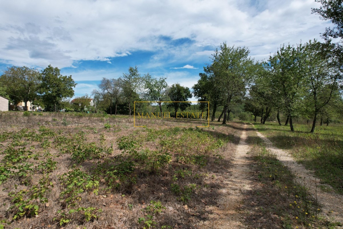 POREČ, DINTORNI – TERRENO EDIFICABILE DI 832 M² PER LA COSTRUZIONE DI UNA CASA!