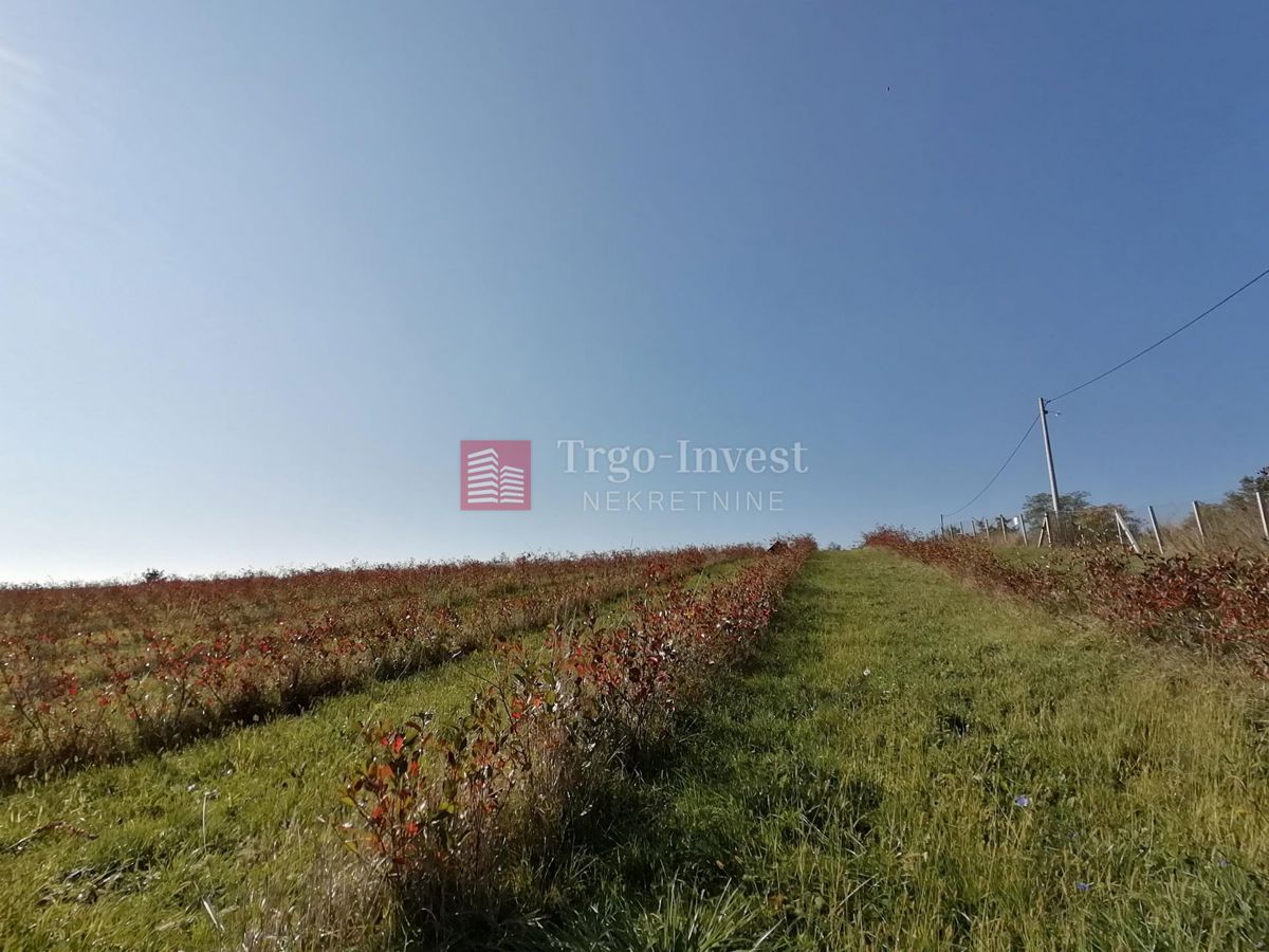 Terreno Vrhovina, Garčin, 60.619m2