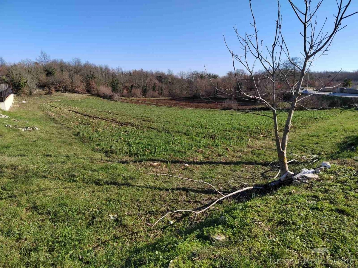 Terreno Poreč