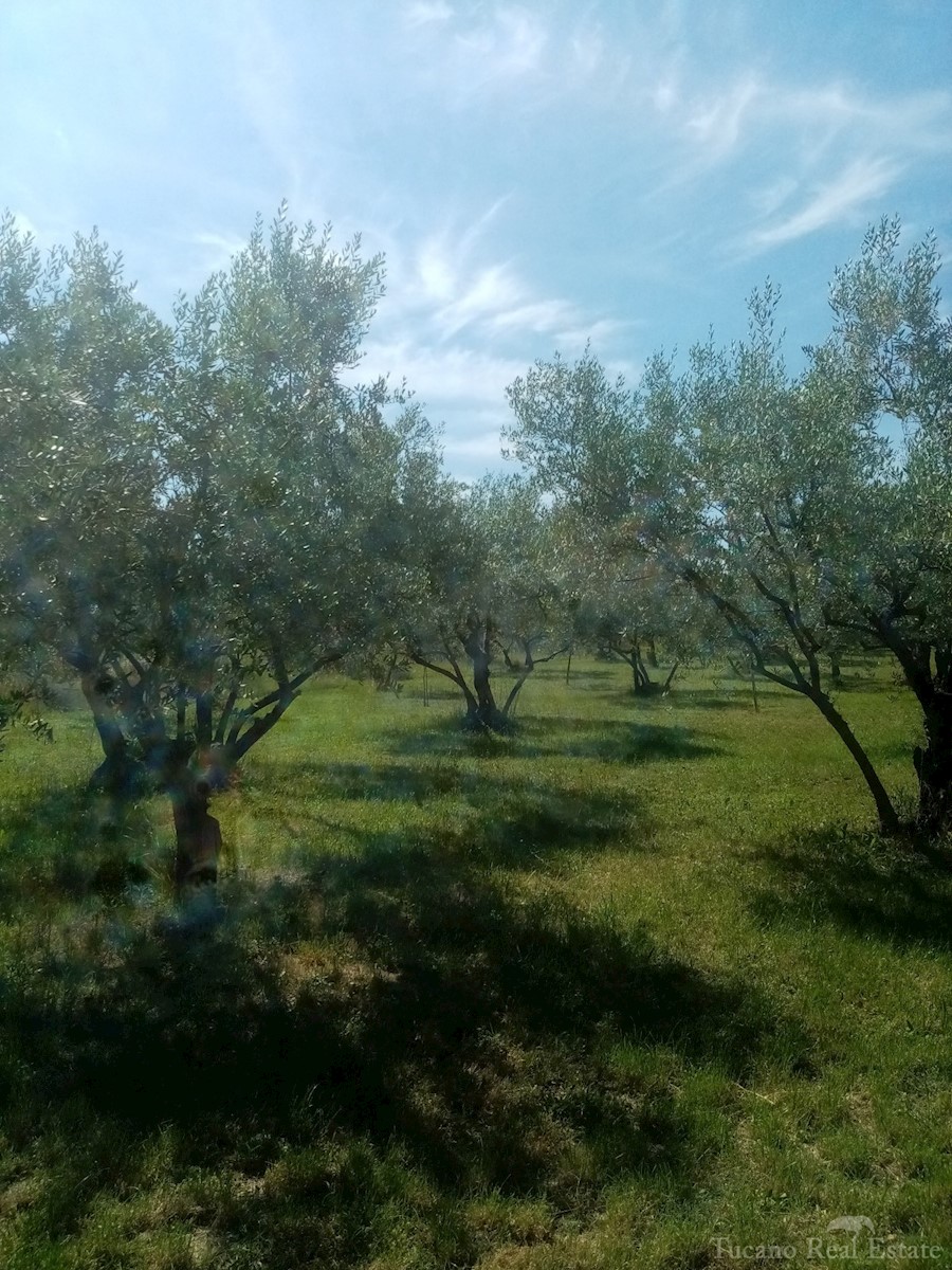 Terreno Poreč