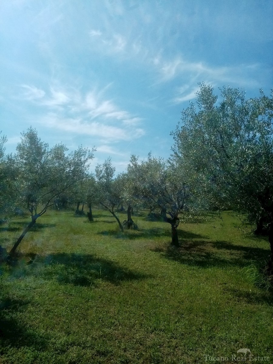 Terreno Poreč