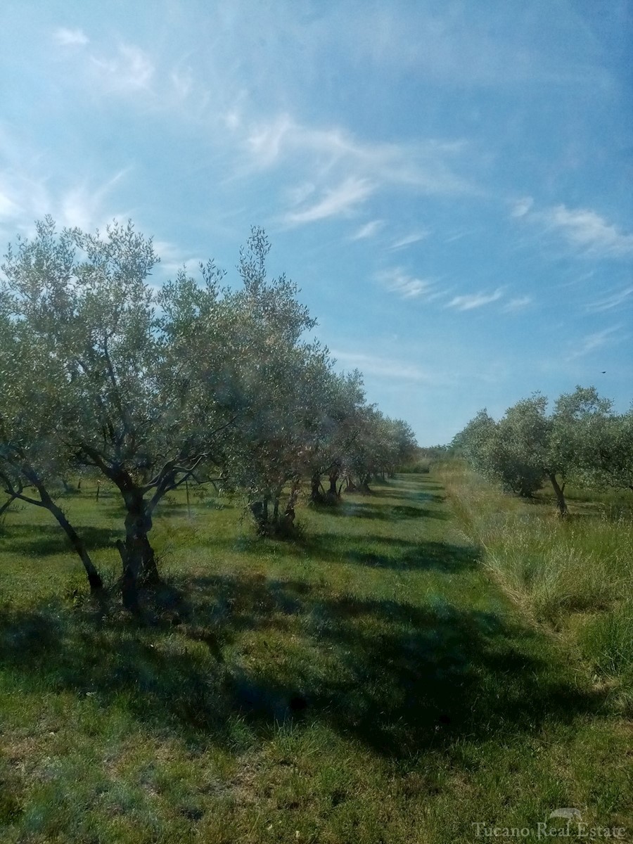 Terreno Poreč