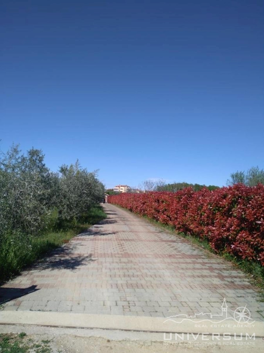 Una bella casa immersa nella natura e con vista sul mare a Cittanova