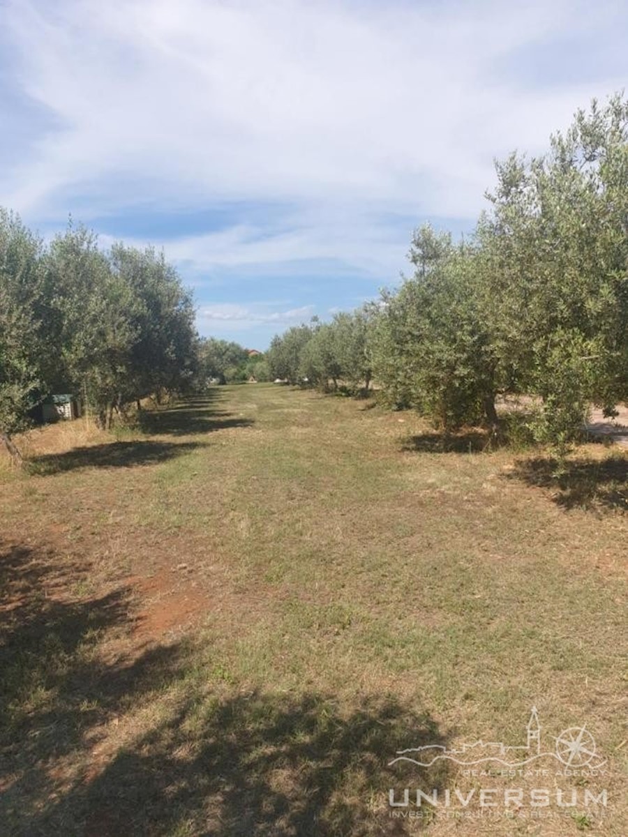 Una bella casa immersa nella natura e con vista sul mare a Cittanova