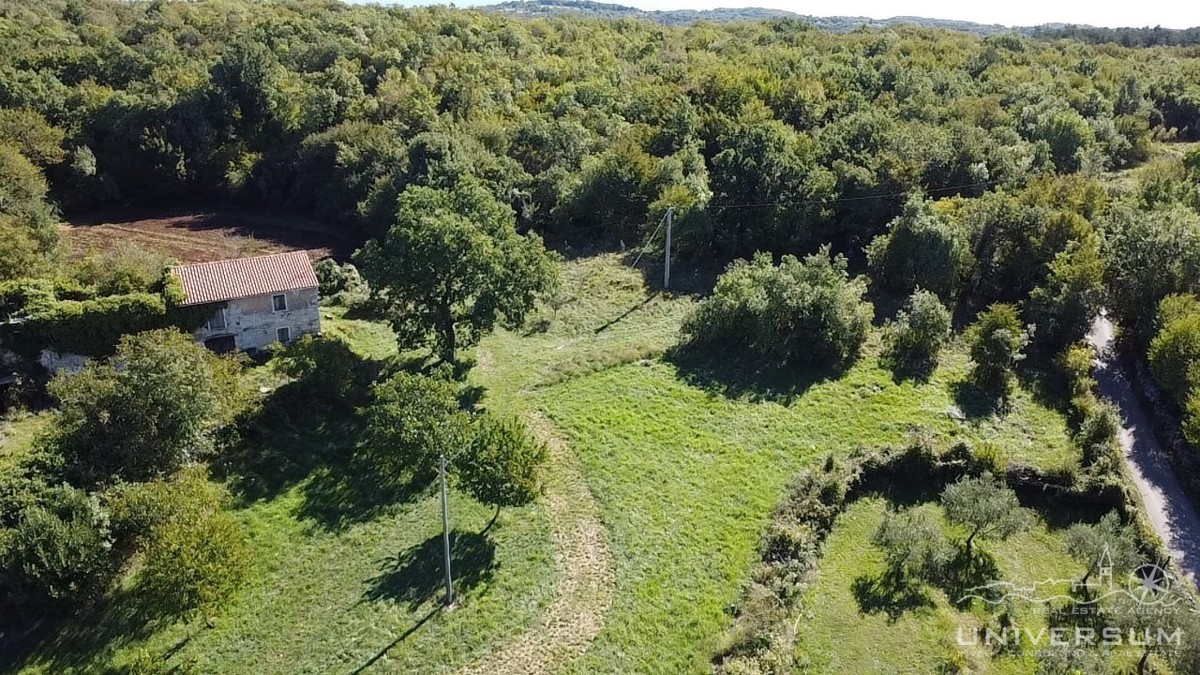 Case da ristrutturare con 3600 m2 di terreno edificabile a Portole