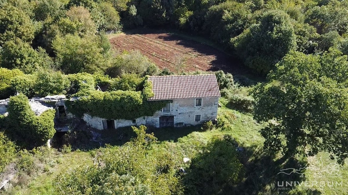 Case da ristrutturare con 3600 m2 di terreno edificabile a Portole