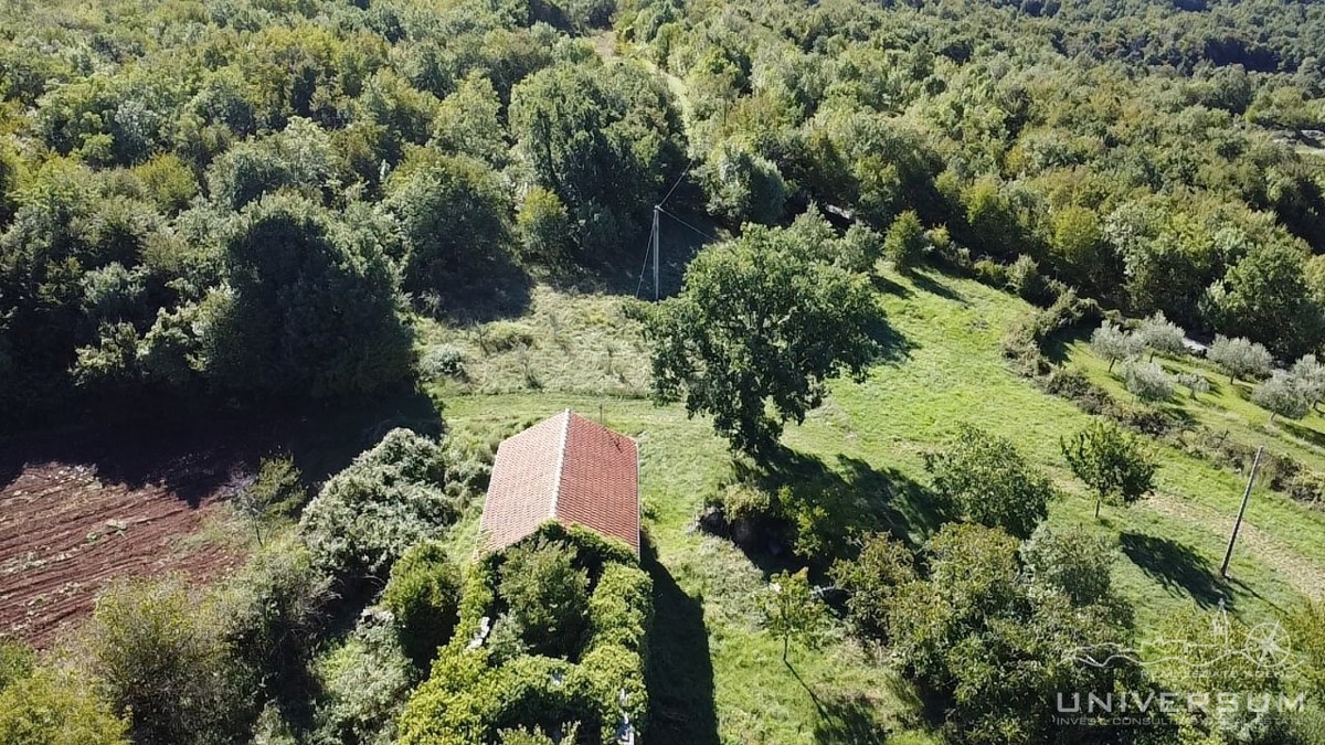 Case da ristrutturare con 3600 m2 di terreno edificabile a Portole