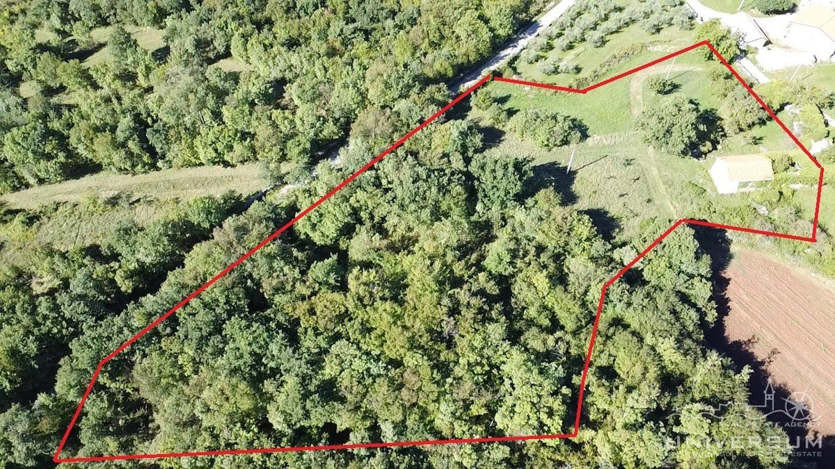 Case da ristrutturare con 3600 m2 di terreno edificabile a Portole