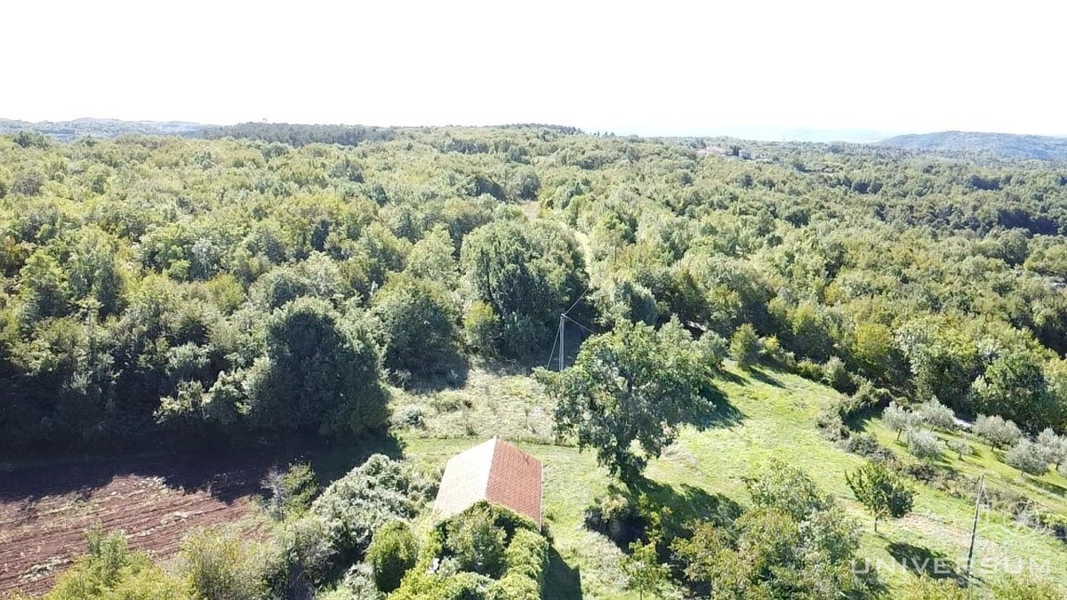 Case da ristrutturare con 3600 m2 di terreno edificabile a Portole