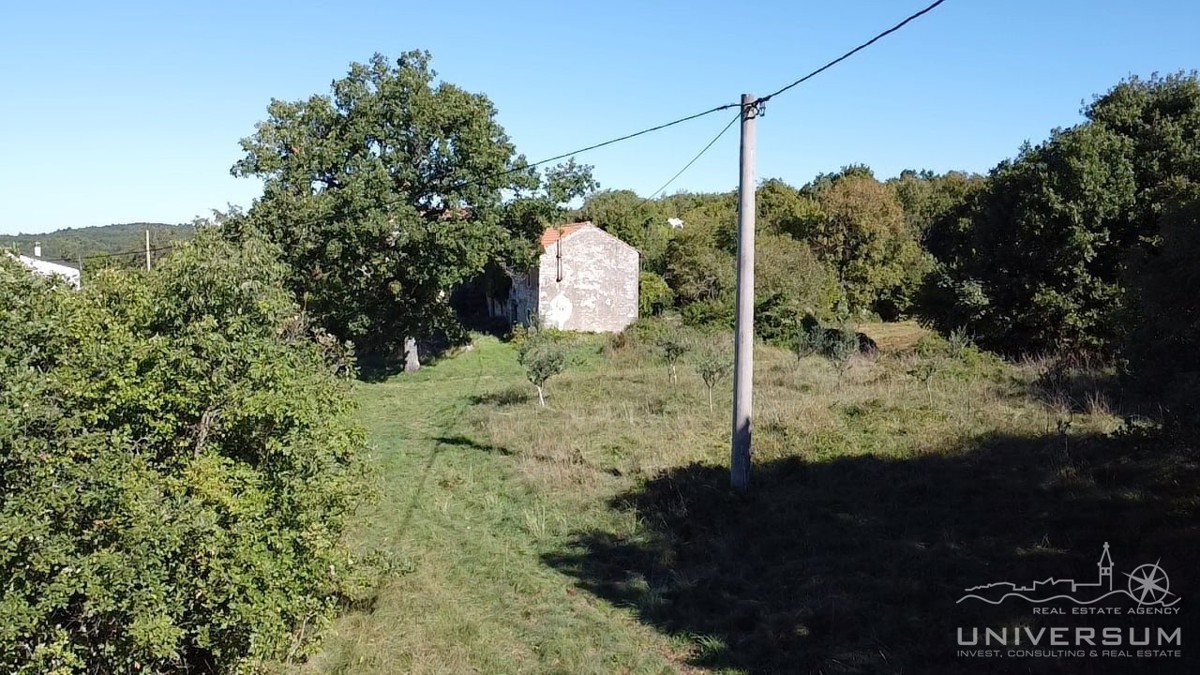 Case da ristrutturare con 3600 m2 di terreno edificabile a Portole