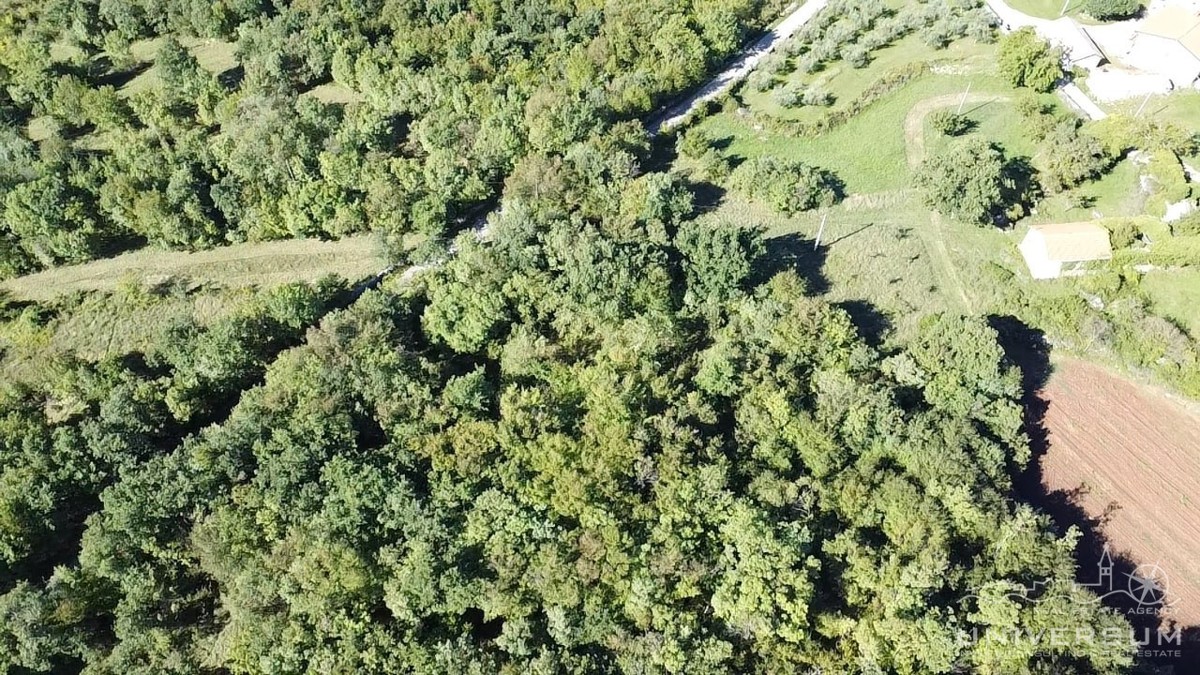 Case da ristrutturare con 3600 m2 di terreno edificabile a Portole