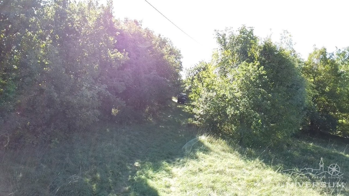 Case da ristrutturare con 3600 m2 di terreno edificabile a Portole