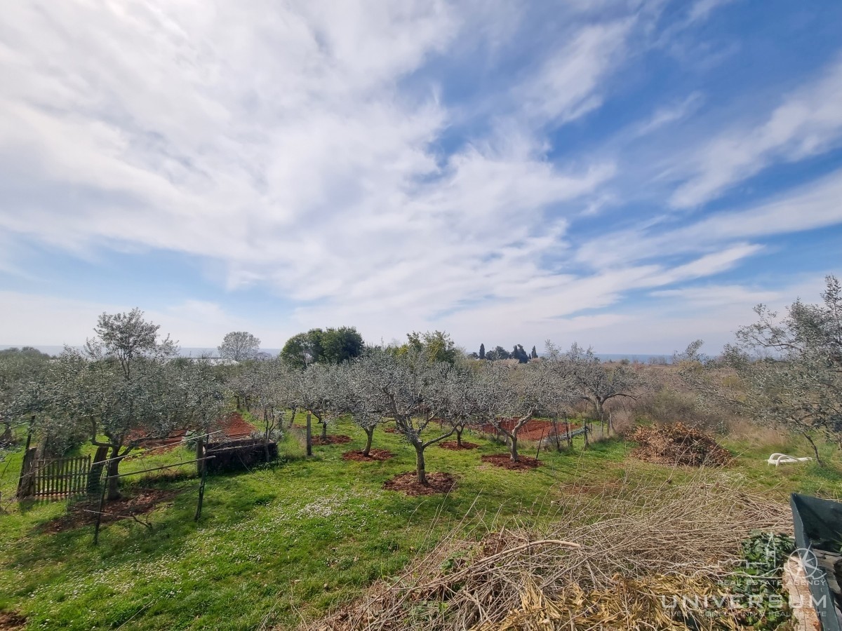 Villa in pietra con vista mare a Umag - Umago