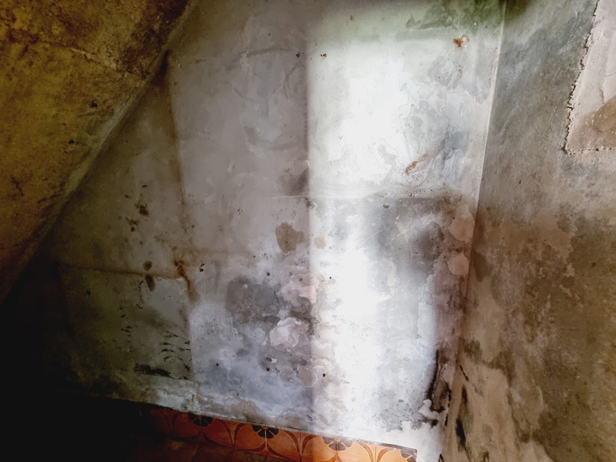 Casa in pietra a 2,5 km dal mare nelle vicinanze di Umago