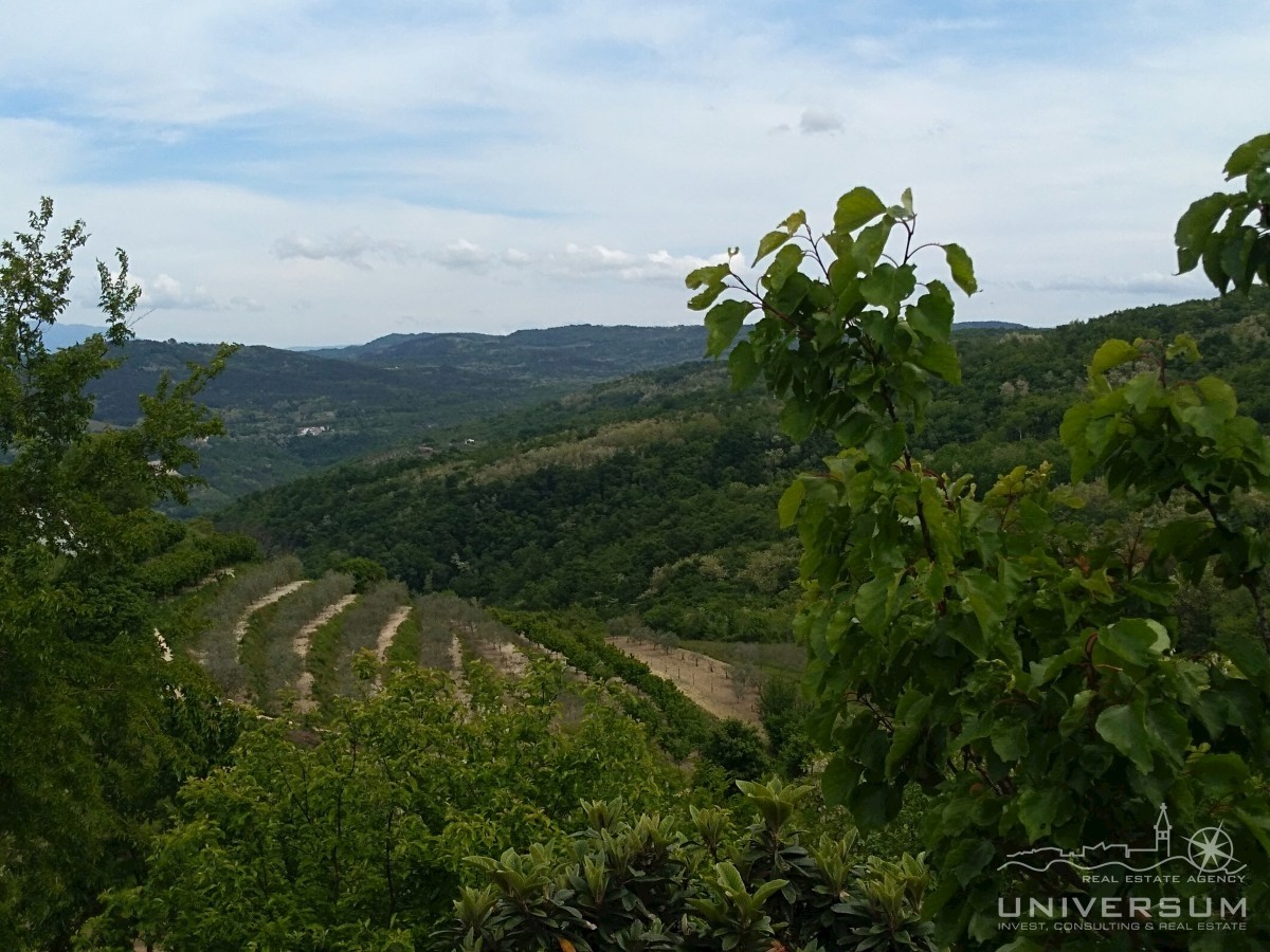 Terreno edificabile con vista su Montona, centro storico e natura a Vižinadi