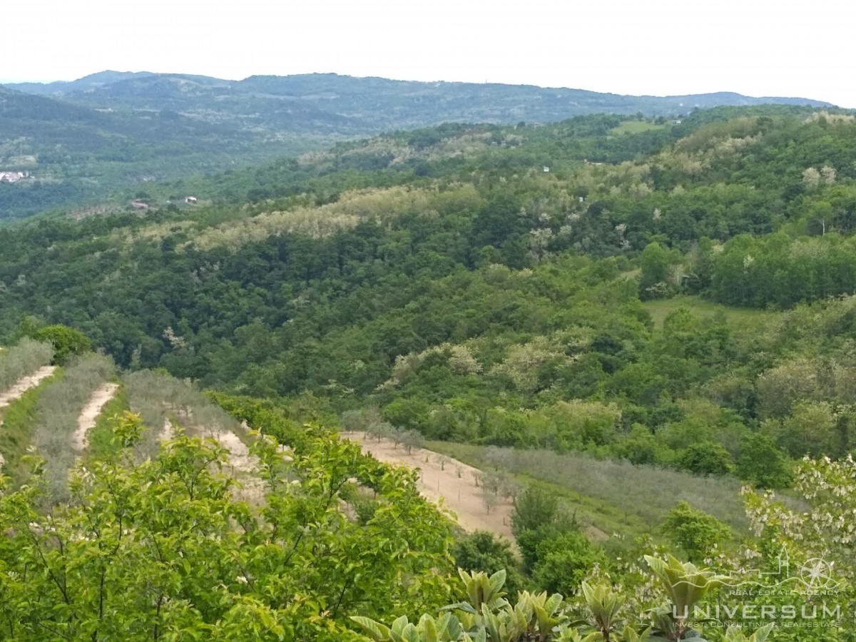 Terreno edificabile con vista su Montona, centro storico e natura a Vižinadi