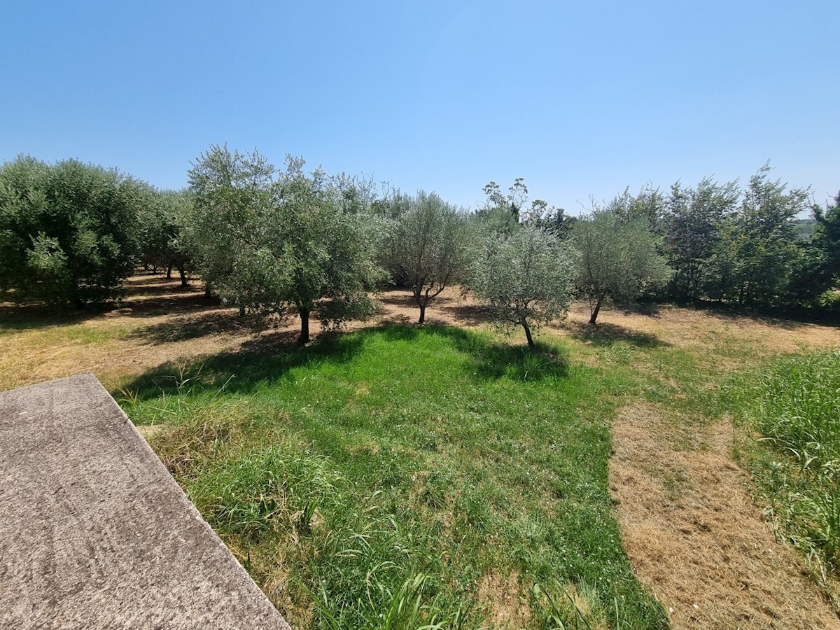 Terreno edificabile con vista mare a Verteneglio