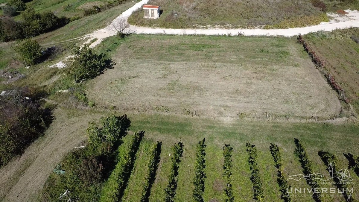 Terreno edificabile con vista su Verteneglio
