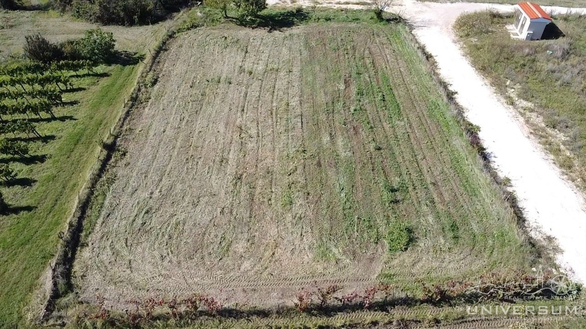 Terreno edificabile con vista su Verteneglio
