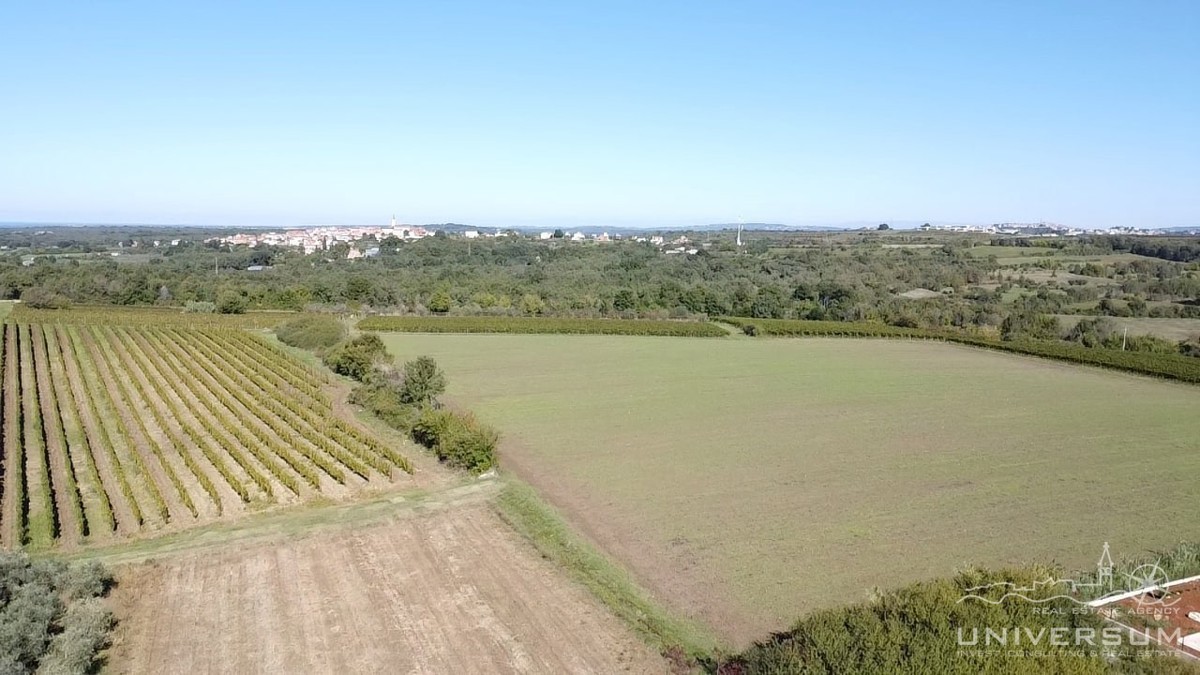 Terreno edificabile con vista su Verteneglio