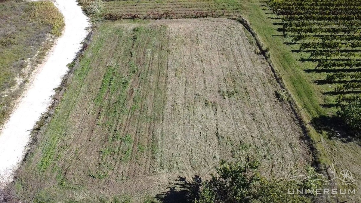 Terreno edificabile con vista su Verteneglio
