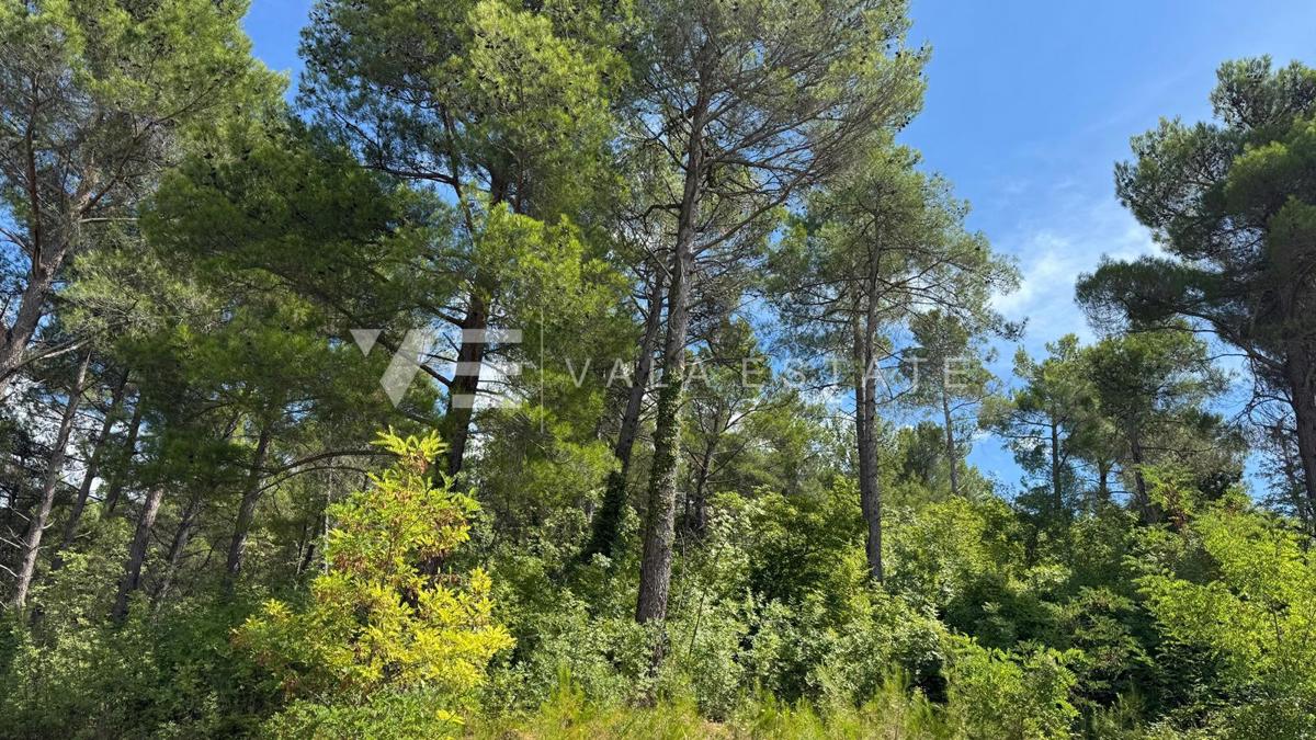 APPARTAMENTO IN POSIZIONE ATTRAENTE PRIMA FILA SUL MARE