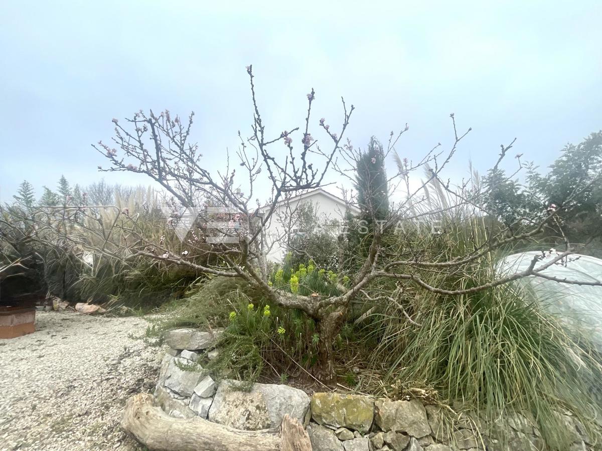 CASA INDIPENDENTE CON AMPIO GIARDINO IN POSIZIONE TRANQUILLA