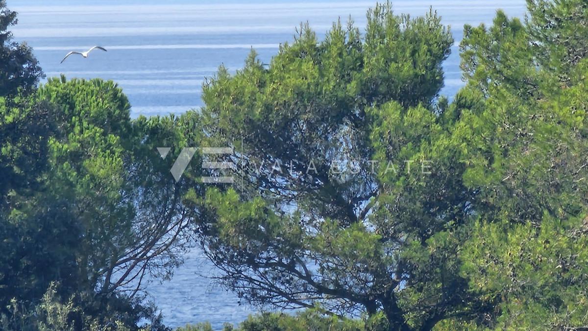 COMODO ATTICO VICINO ALLA SPIAGGIA E AL CENTRO