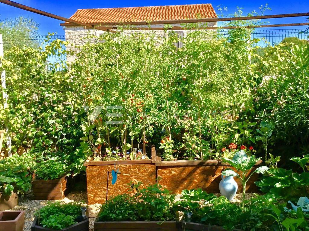 VILLA RUSTICA IN PIETRA CON PISCINA E AMPIO GIARDINO