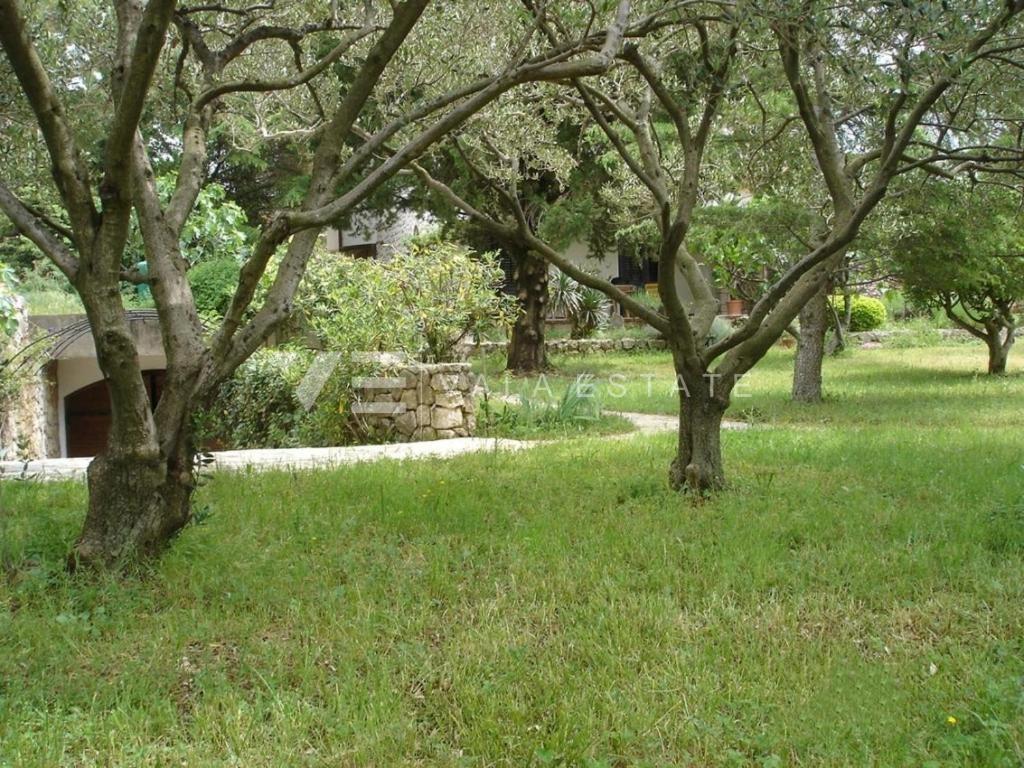 CASA INDIPENDENTE CON AMPIO GIARDINO A SOLI 100 DAL MARE