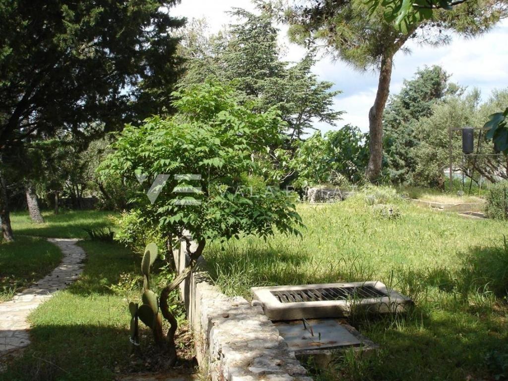 CASA INDIPENDENTE CON AMPIO GIARDINO A SOLI 100 DAL MARE
