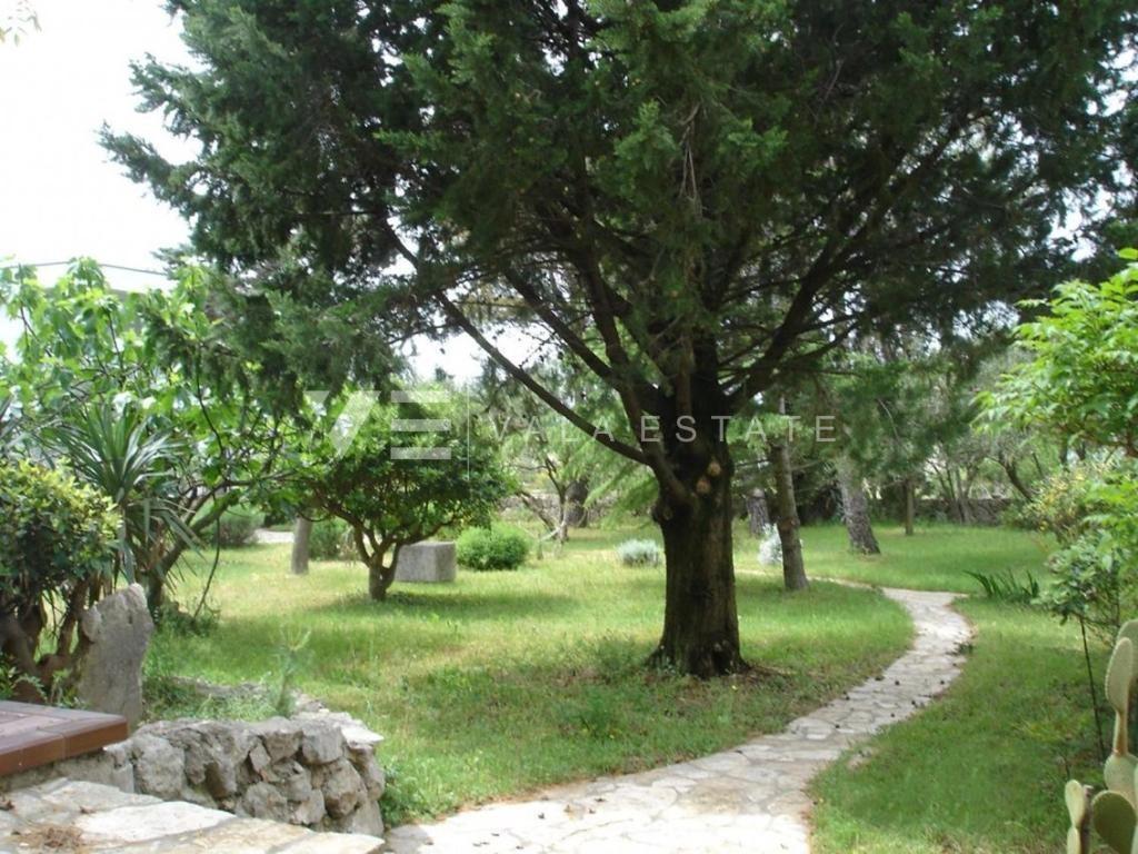 CASA INDIPENDENTE CON AMPIO GIARDINO A SOLI 100 DAL MARE