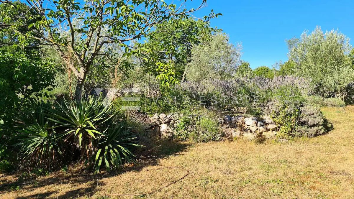 UNICA CASA IN PIETRA RISTRUTTURATA IMMERSA NELLA NATURA
