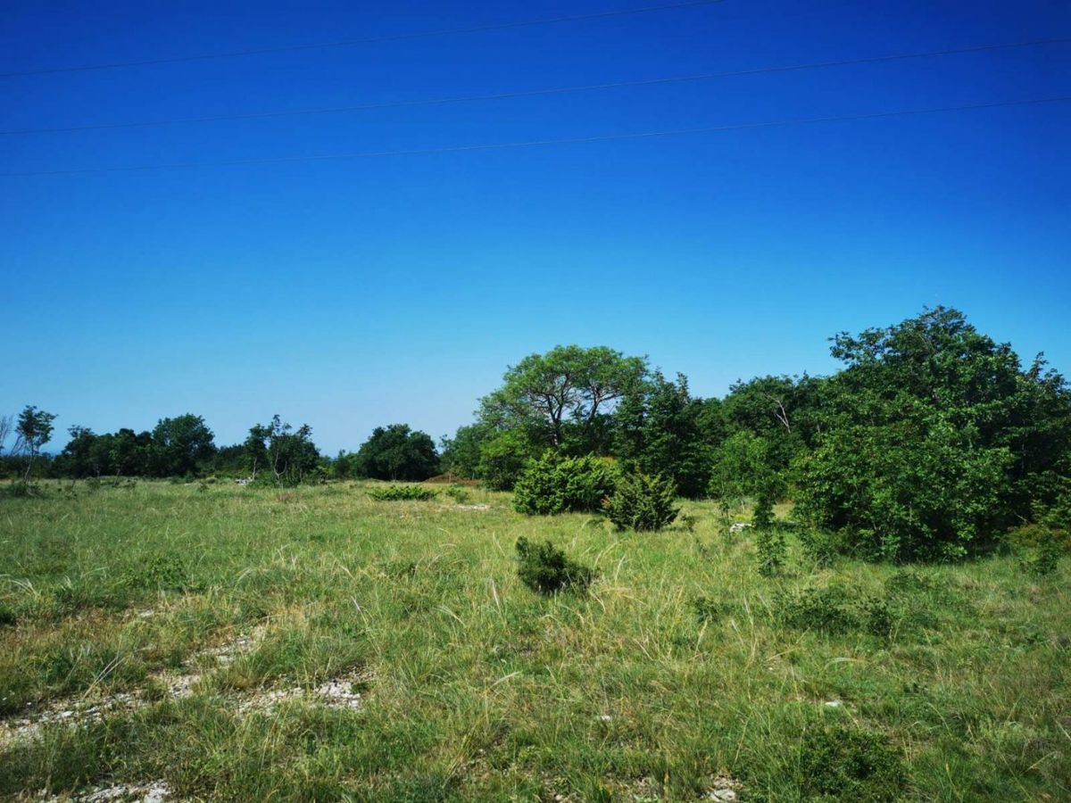 Ampio terreno agricolo di 22200 m2, vicino a Labin