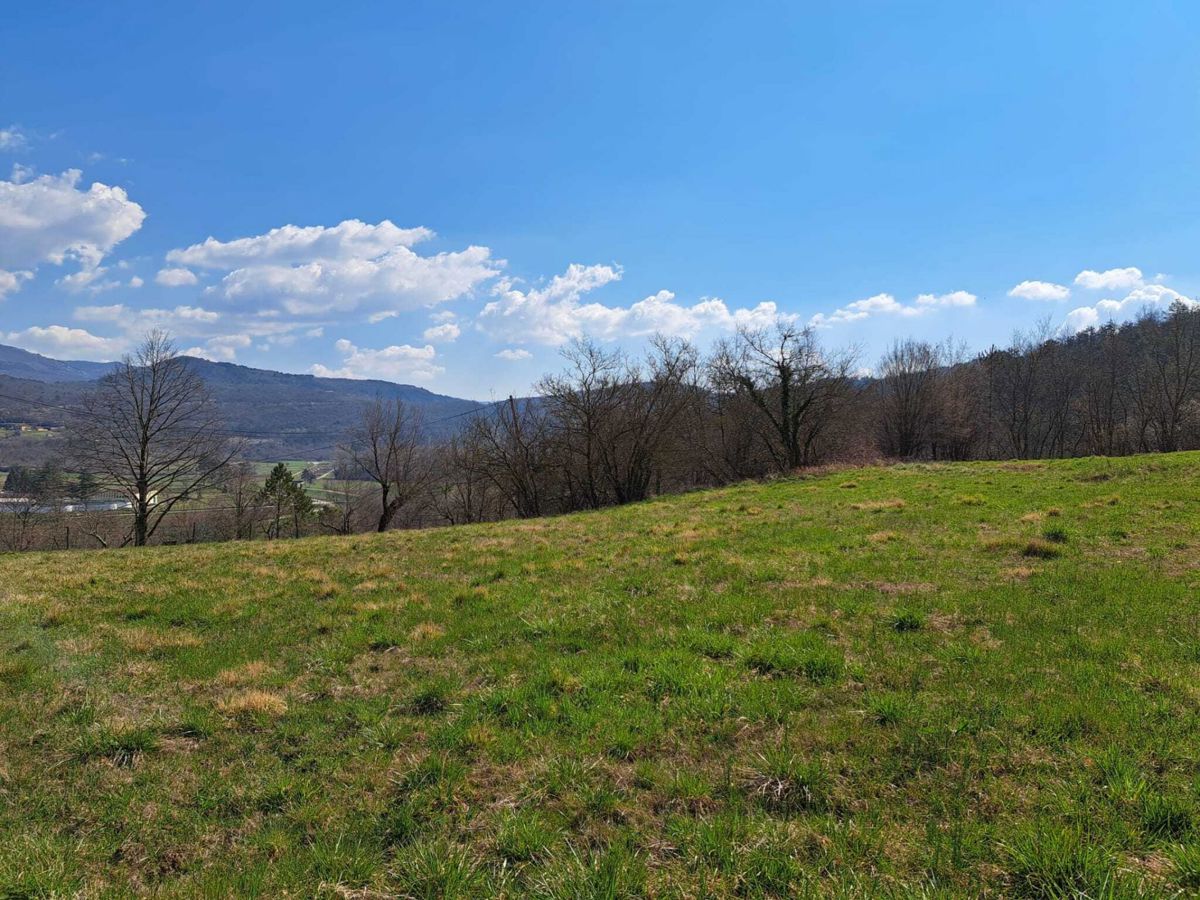 Progetto di una villa con piscina, con vista sulla natura e sulla città di Buzet